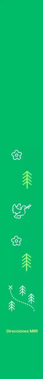 Instrucciones limpias y bonitas con ilustraciones lineales de la naturaleza