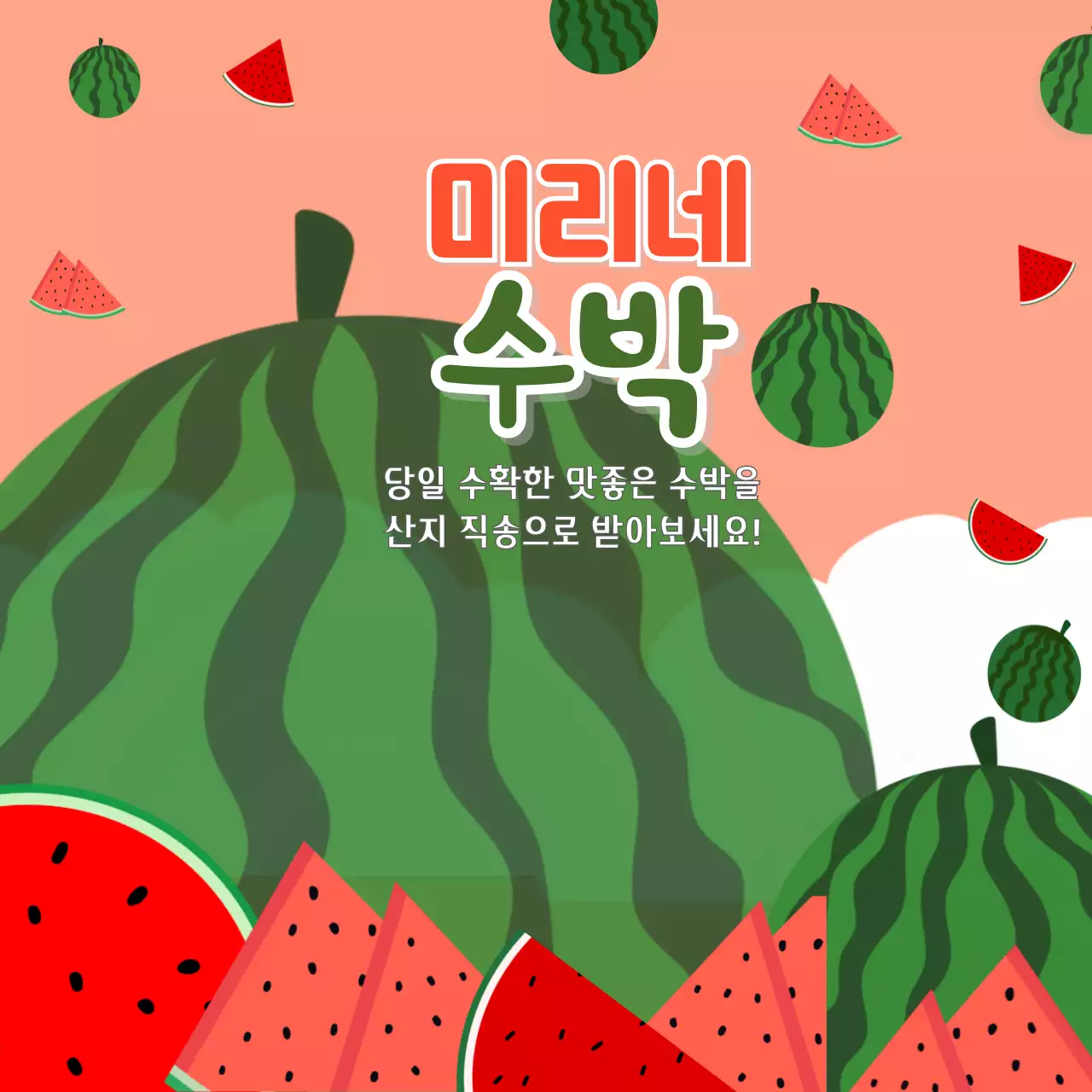 여름 과일 수박 농장 홍보 일러스트