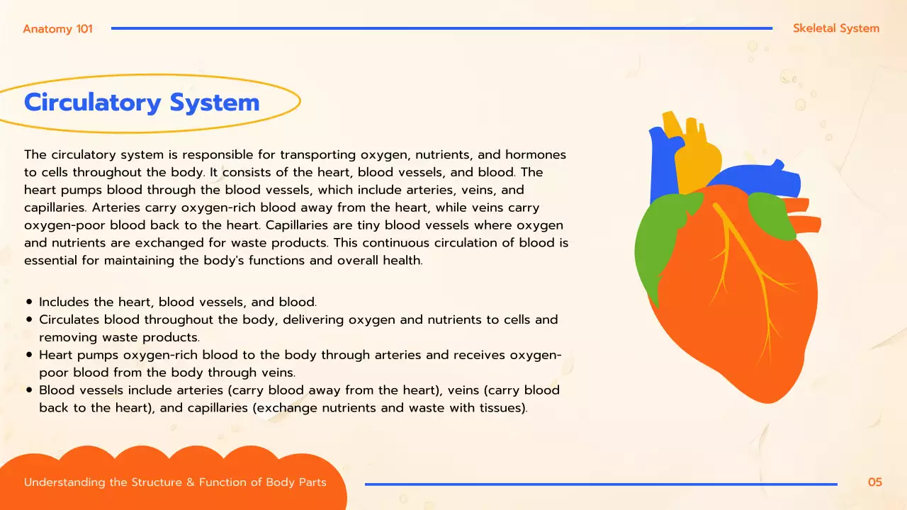 Orange Educational Anatomy Guide Presentation