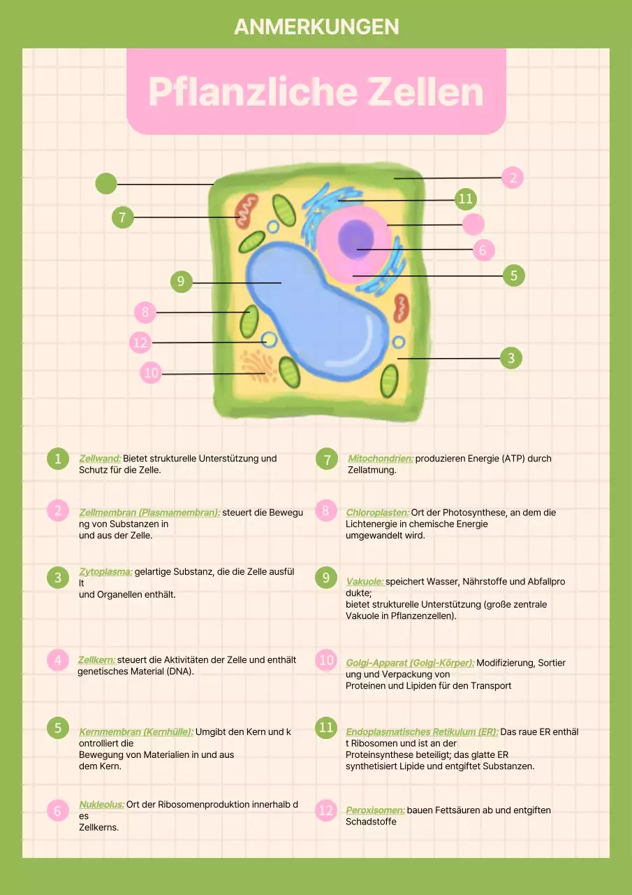 Grüne einfache Biologie-Studienmaterialien