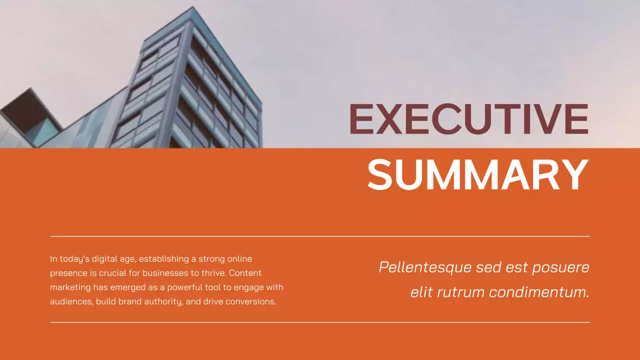 Orange Professional Marketing Plan Presentation