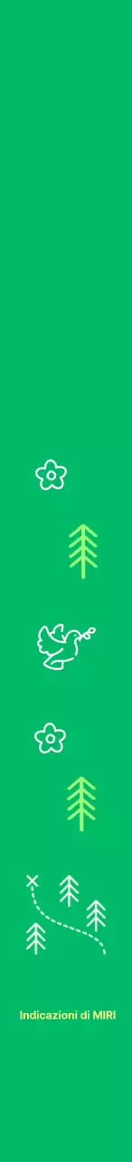 Indicazioni pulite e simpatiche con illustrazioni al tratto della natura