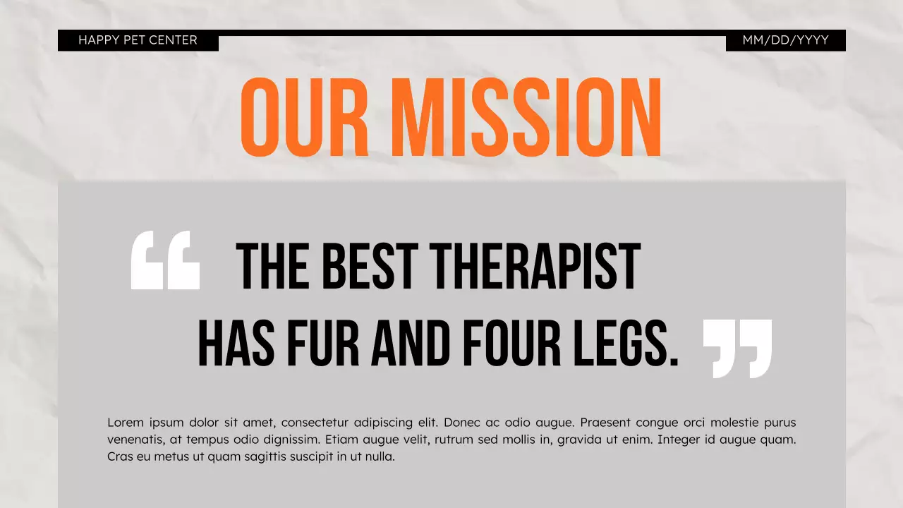 Orange Modern Pet Promotion Presentation