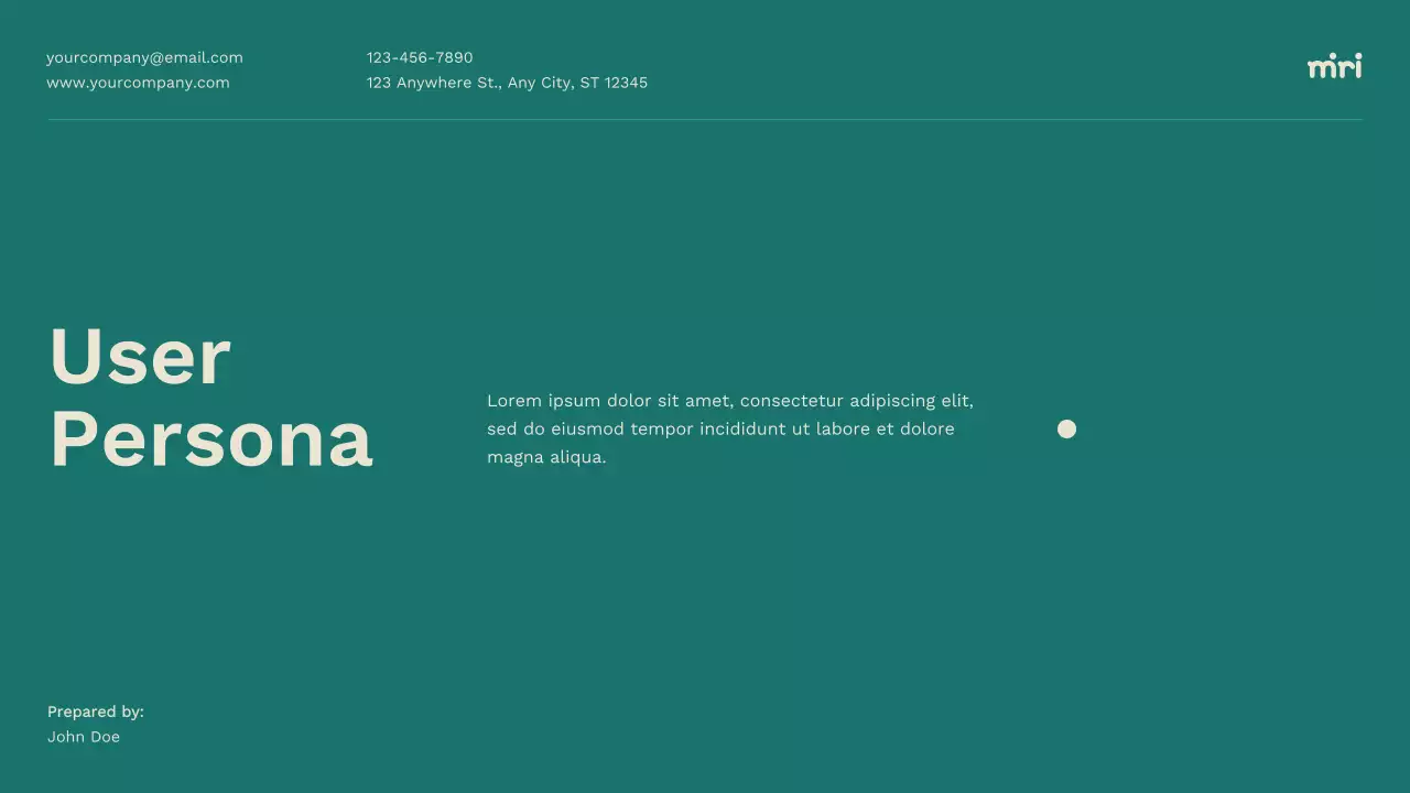 Teal Professional User Persona Guide Presentation