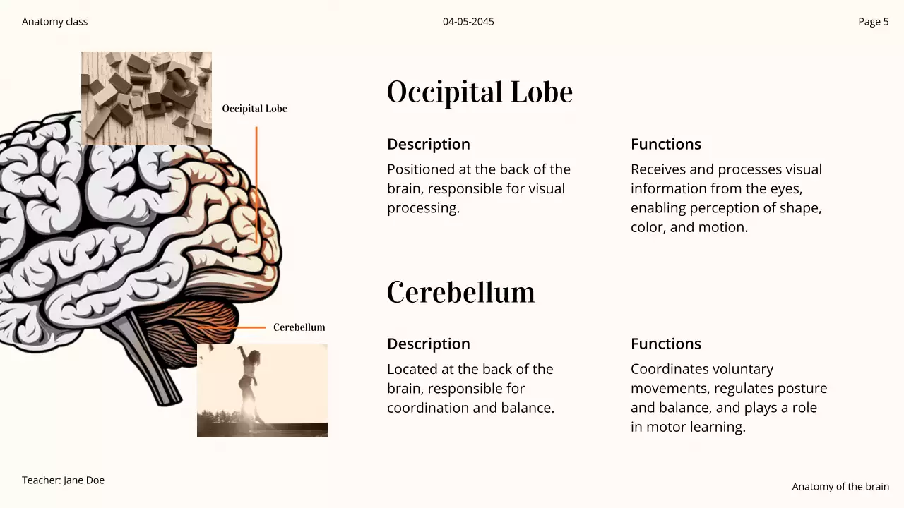 Orange Professional Brain Course Presentation