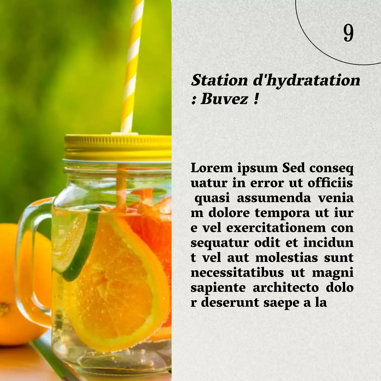 Gris et brun Naturel Guide de l'alimentation saine et du régime alimentaire