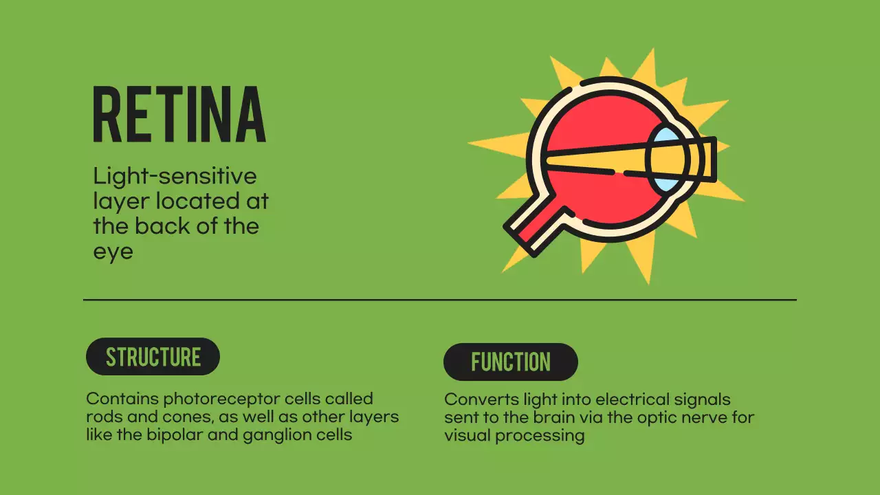 Black Orange Flashy Eyes Lecture Material
