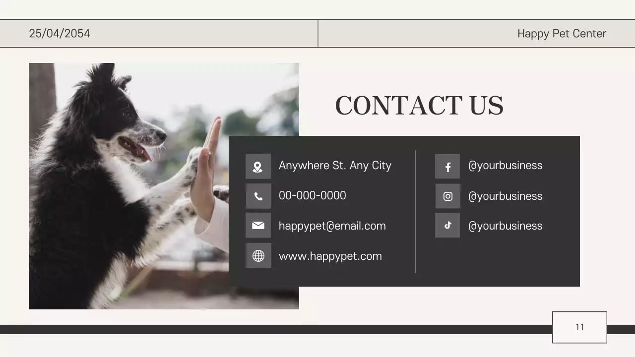 Beige Classic Pet Care Guide Presentation