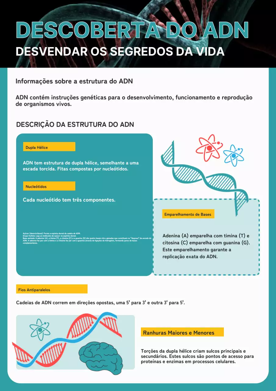 Azul e branco Materiais de estudo explicativos da descoberta do ADN moderno
