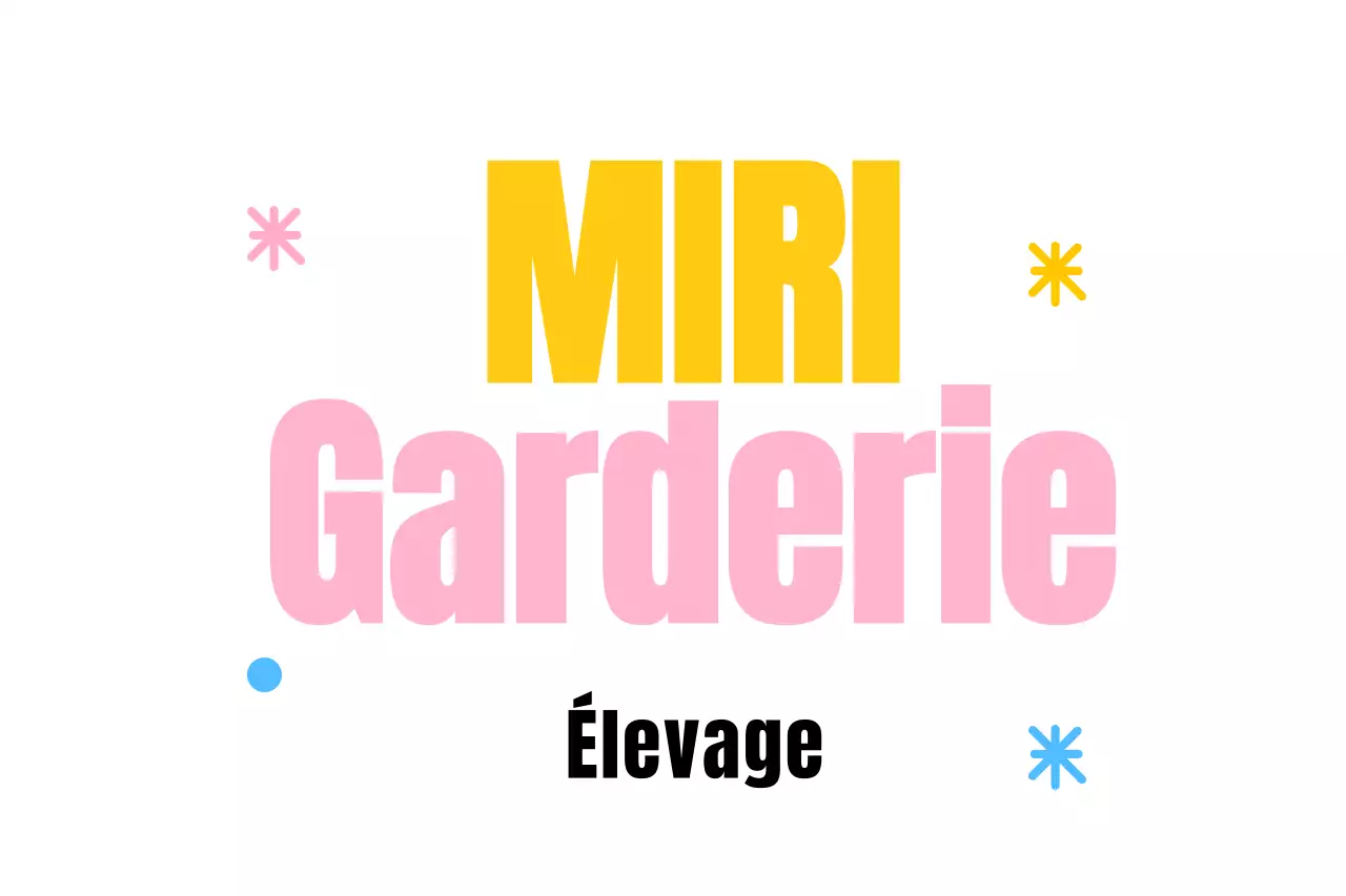 Conception d'un concept de chambre d'enfant confortable avec des illustrations d'animaux