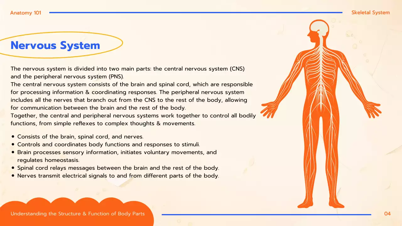 Orange Educational Anatomy Guide Presentation