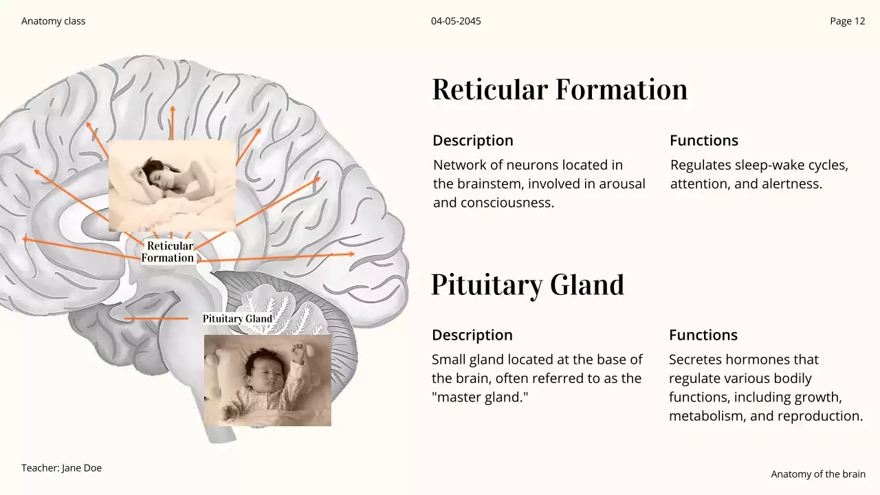 Orange Professional Brain Course Presentation