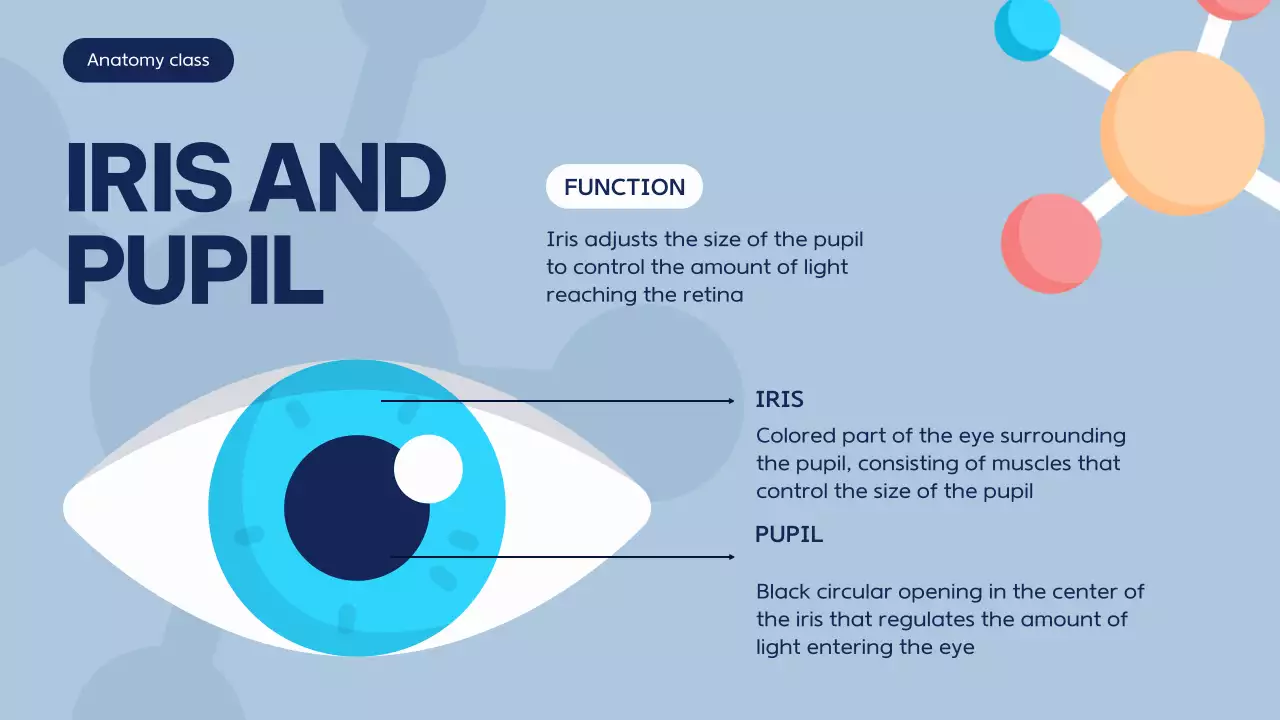 Blue Modern Anatomy Course Presentation