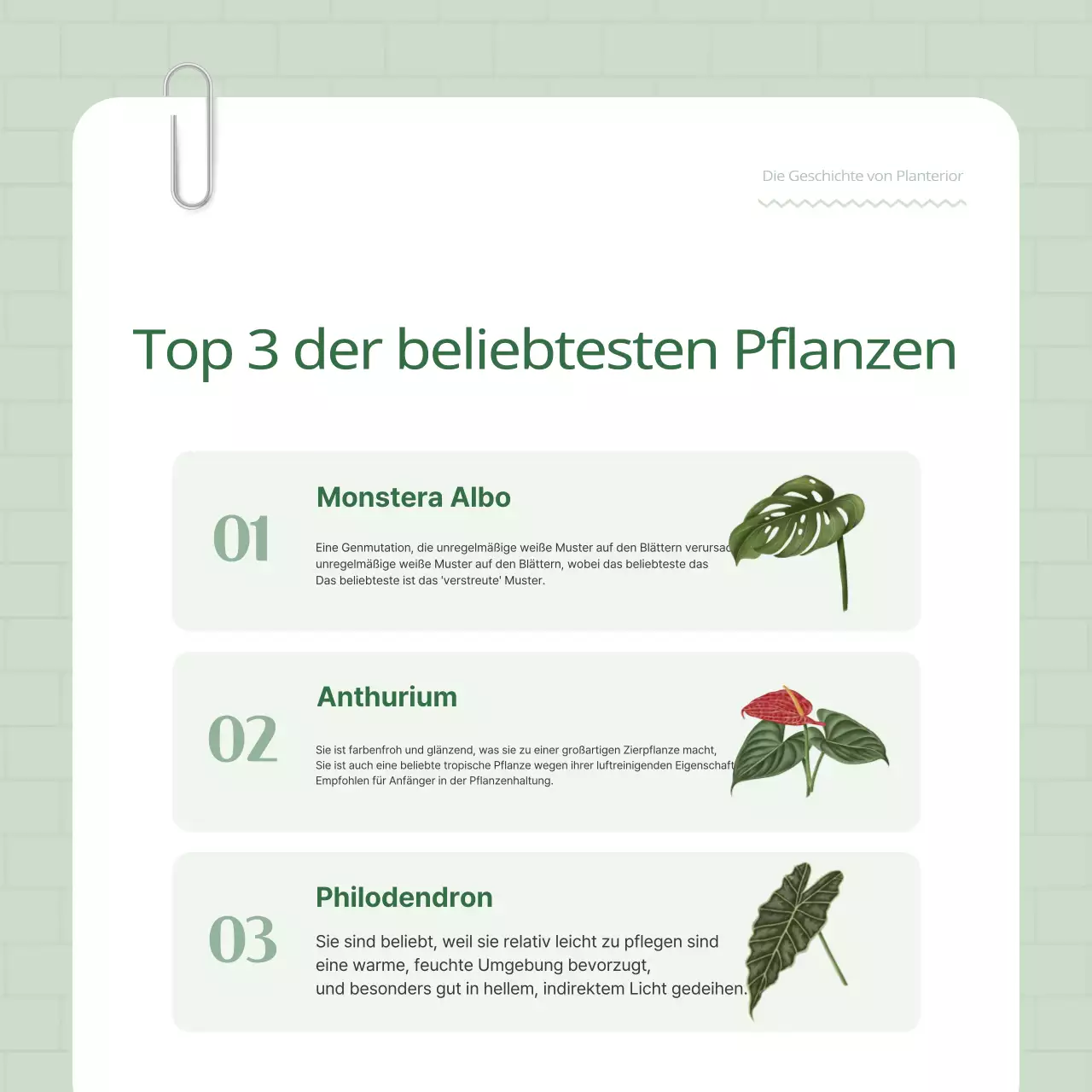 Fördern Sie Ihren grün-weißen Pflanzenterrier