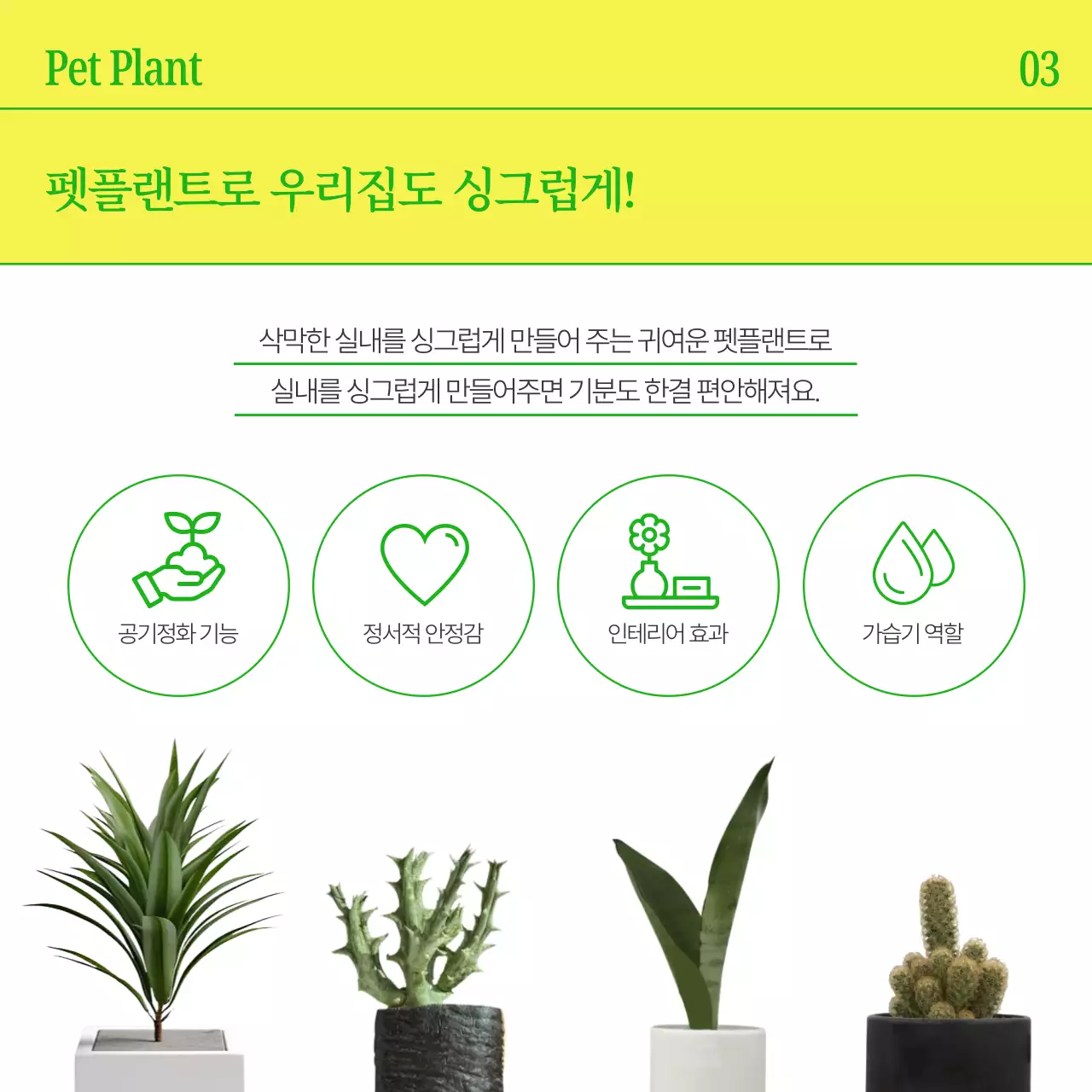 노랑과 초록색의 심플한 반려식물 홍보