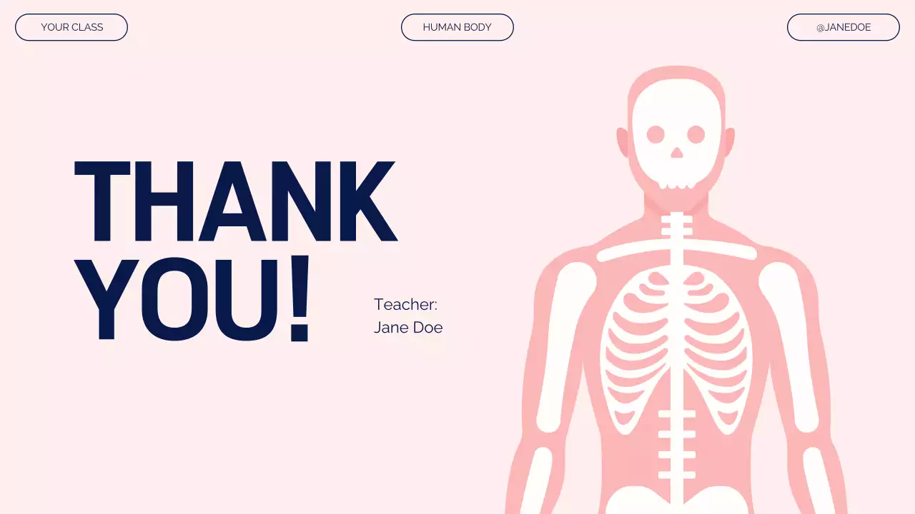 Pink Modern Anatomy Guide Presentation