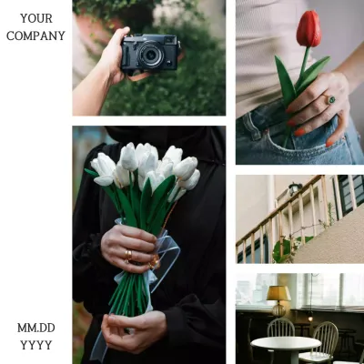 A modern camera film album in red and green published