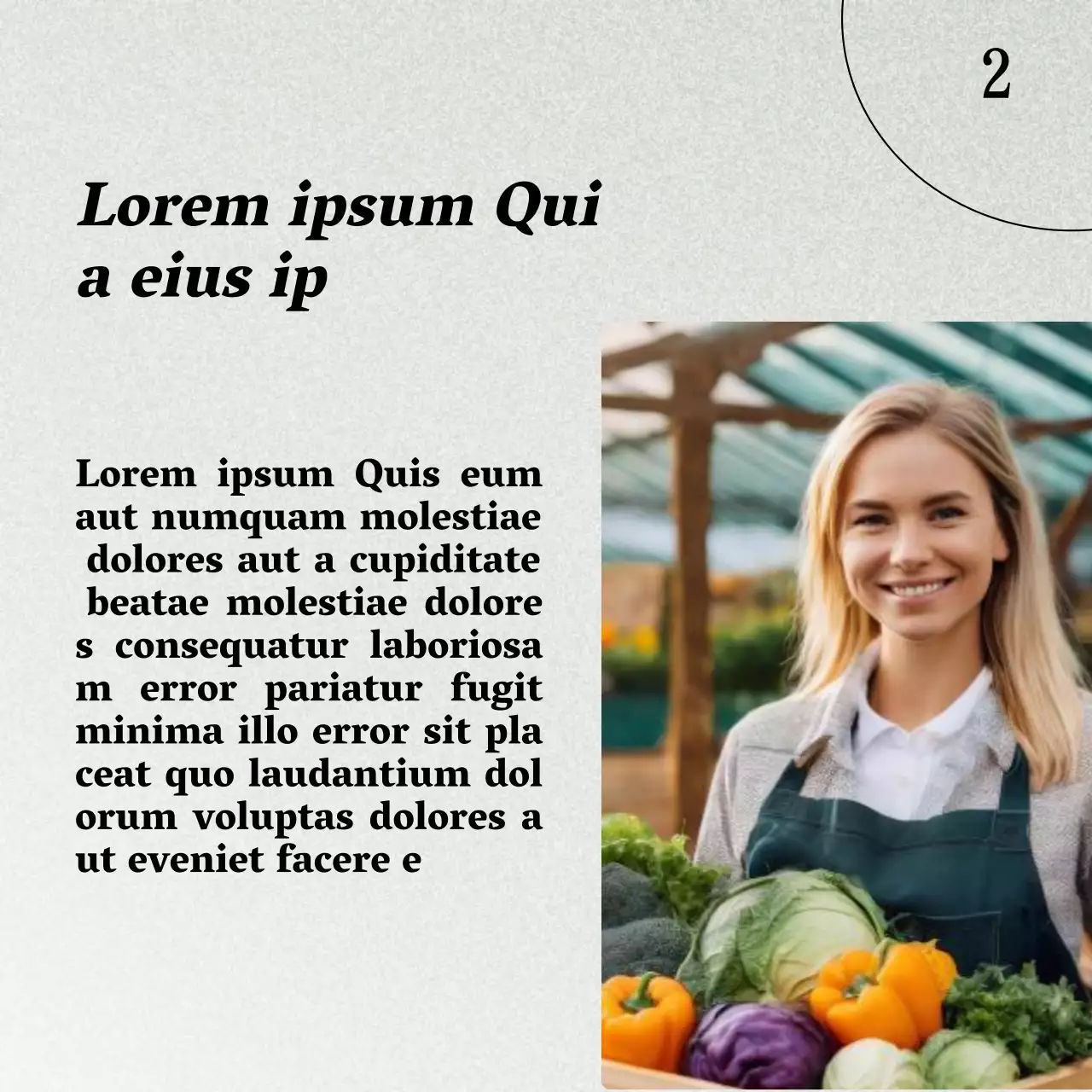 Grau und Braun Natürliche Gesunde Ernährung und Diätführer