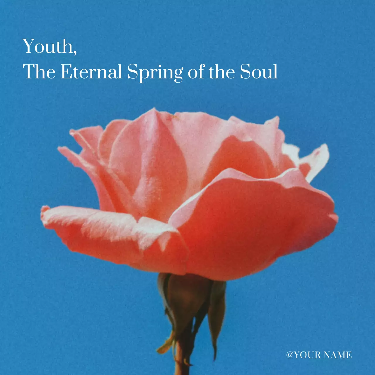 Simple Youthful Spirit Spring Stationery Post in Light Blue and White