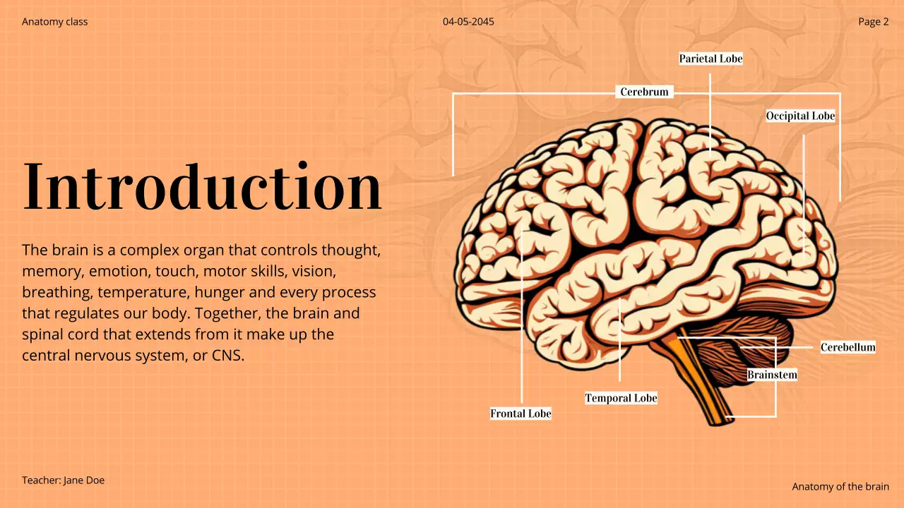 Orange Professional Brain Course Presentation