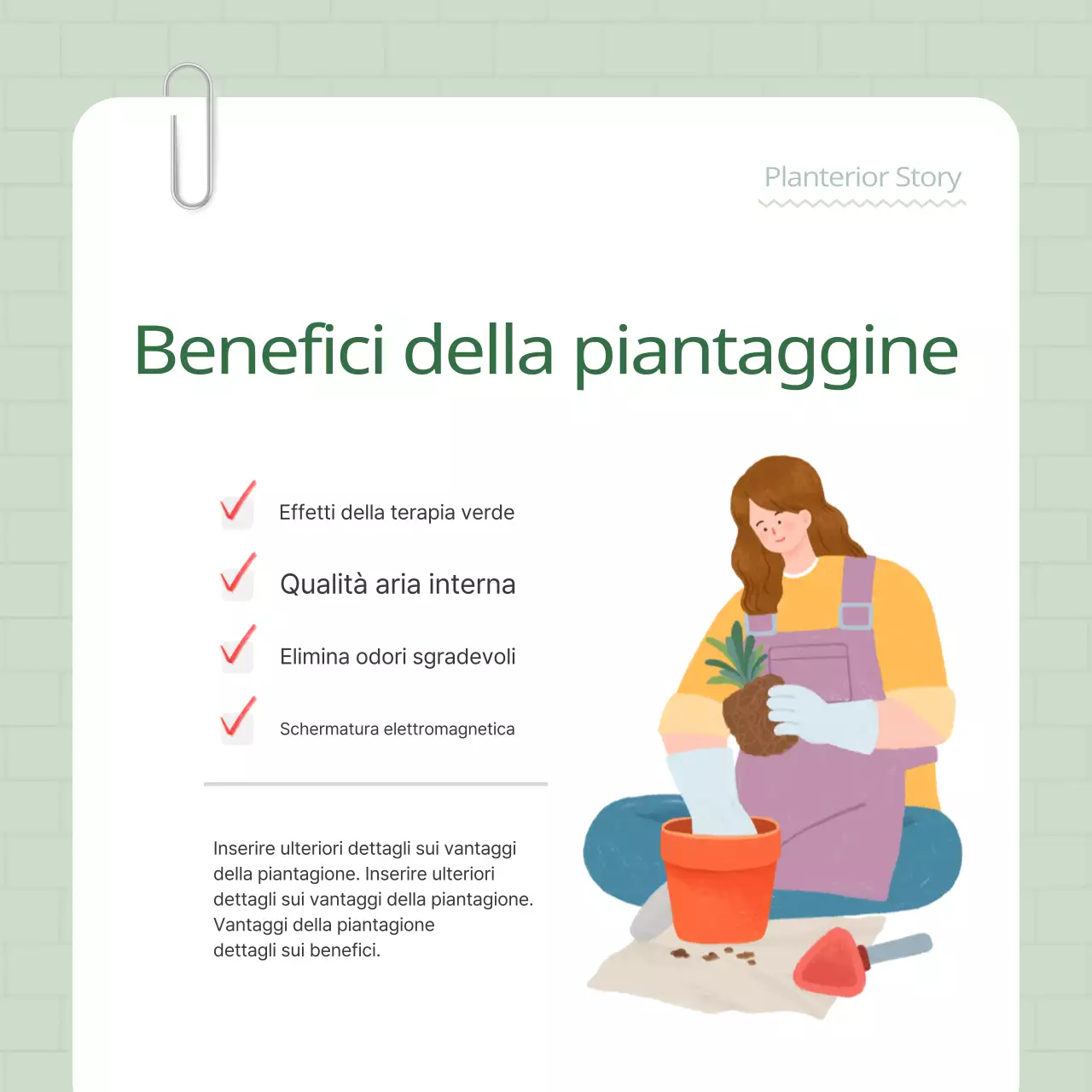 Promuovete il vostro terrier vegetale verde e bianco