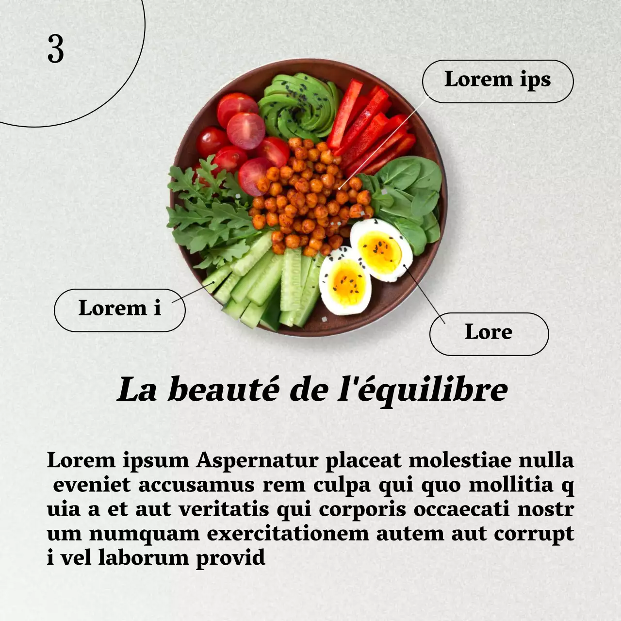 Gris et brun Naturel Guide de l'alimentation saine et du régime alimentaire