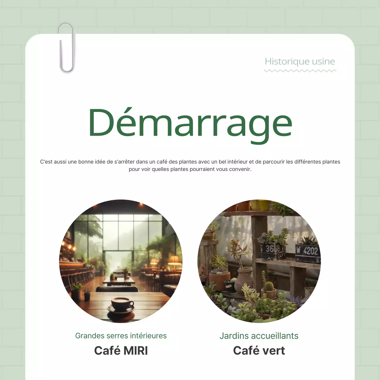 Promouvoir votre plant terrier vert et blanc