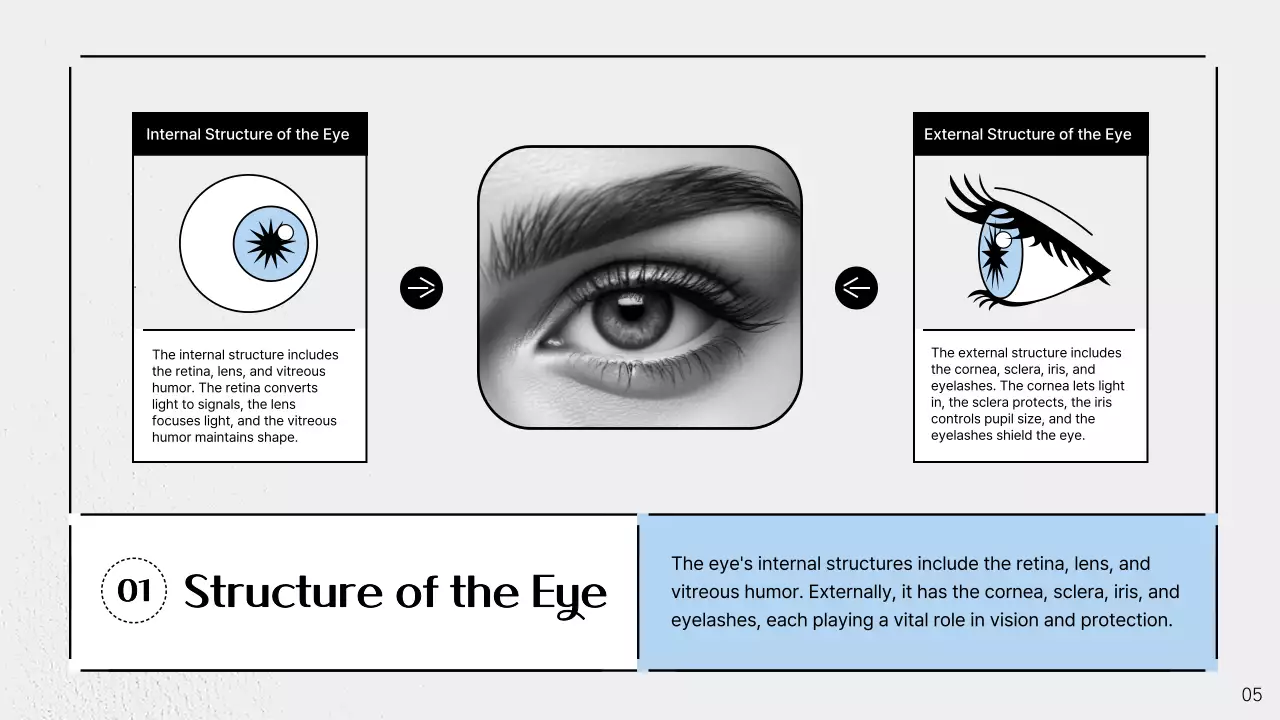 Blue Modern Eye Lecture Presentation