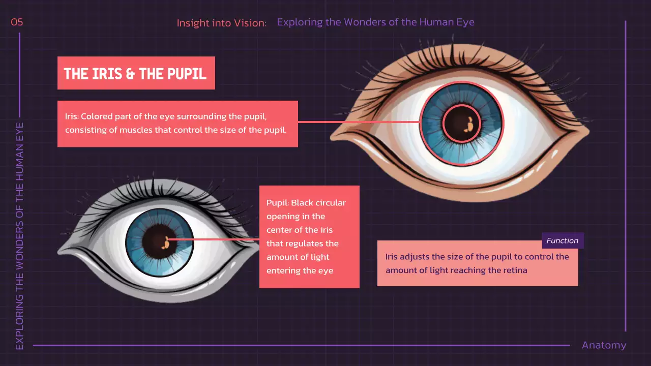Presentasi Kuliah Anatomi Modern Ungu