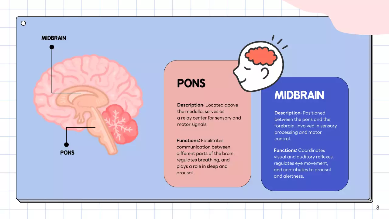 Apresentação da Palestra Pink Modern Brain