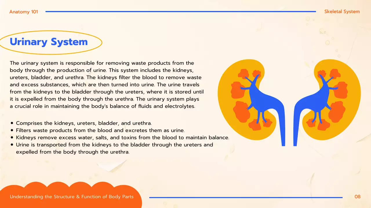 Orange Educational Anatomy Guide Presentation
