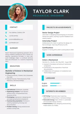 Black Professional Engineering Resume