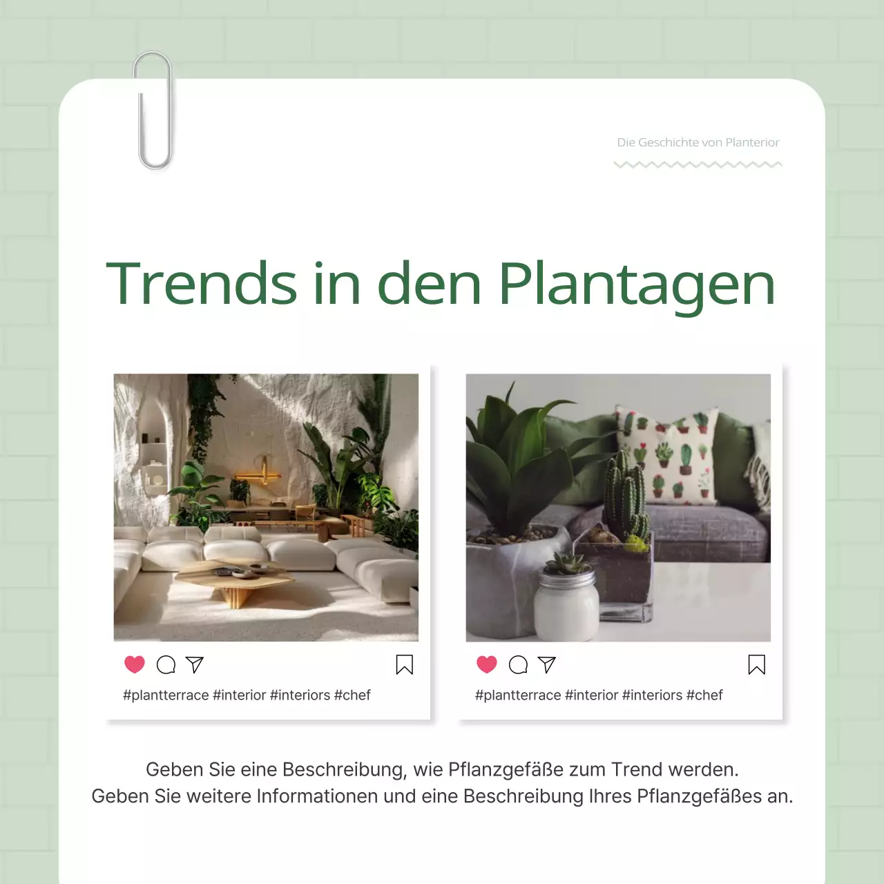 Fördern Sie Ihren grün-weißen Pflanzenterrier