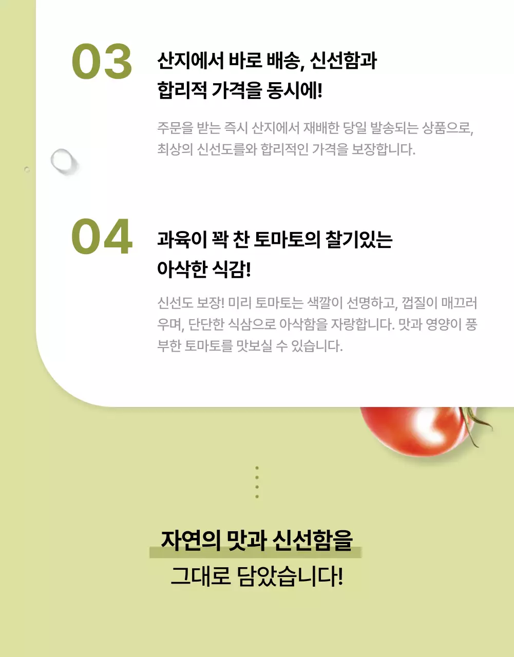흰색과 초록색의 심플한 토마토 홍보
