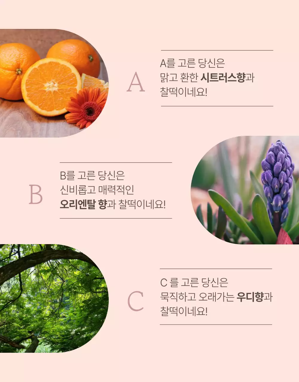 핑크색의 럭셔리한 향수 게시글