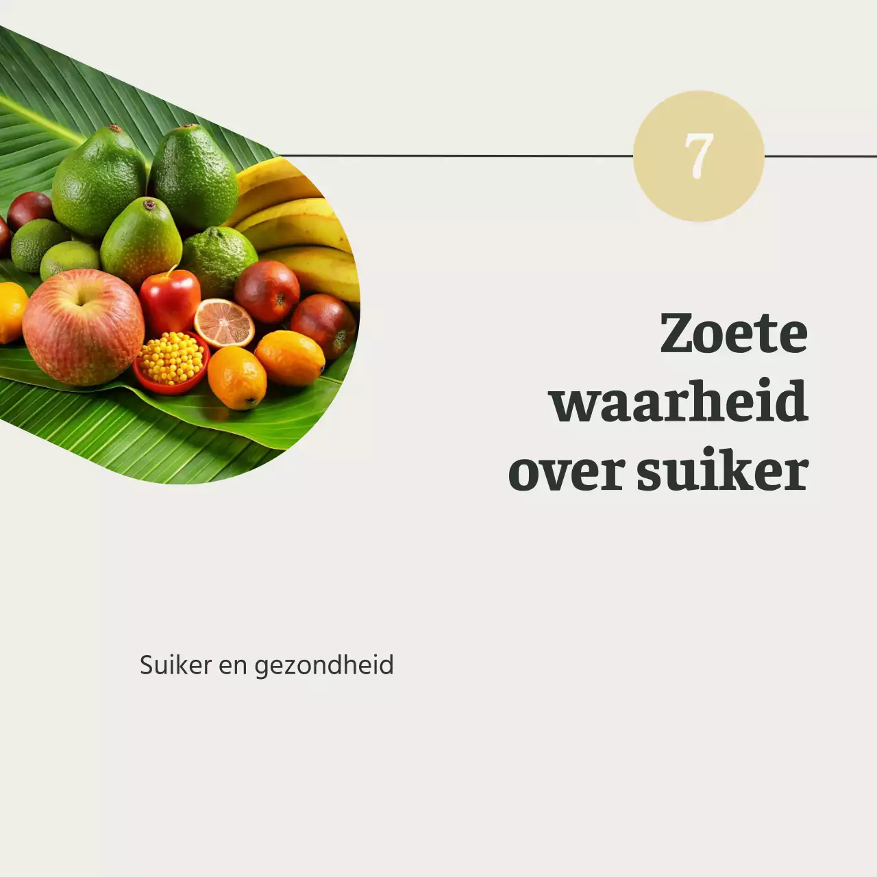 Grijs en Groen Natuurlijk Gezond eten en dieetgids