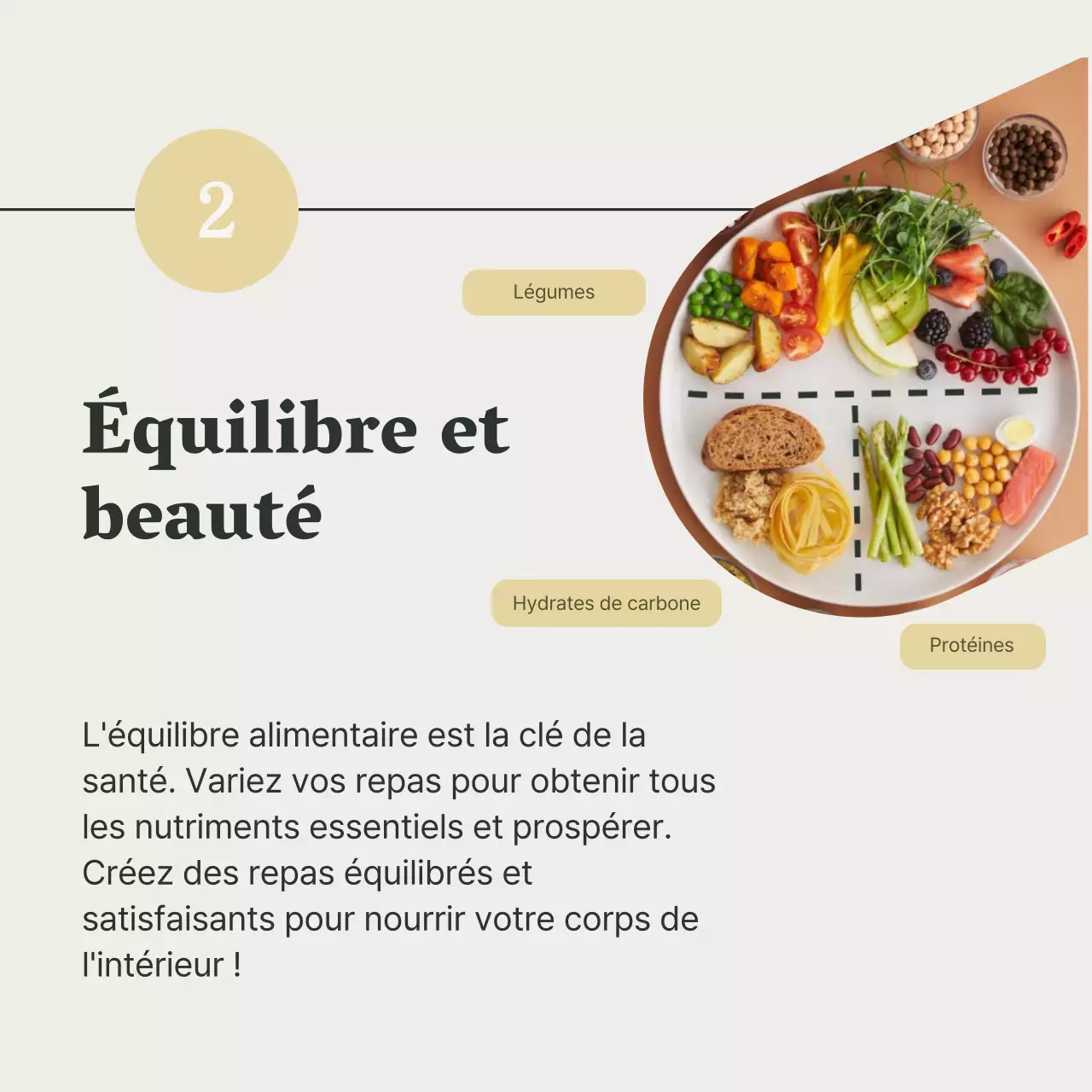 Gris et vert Guide de l'alimentation saine et du régime alimentaire