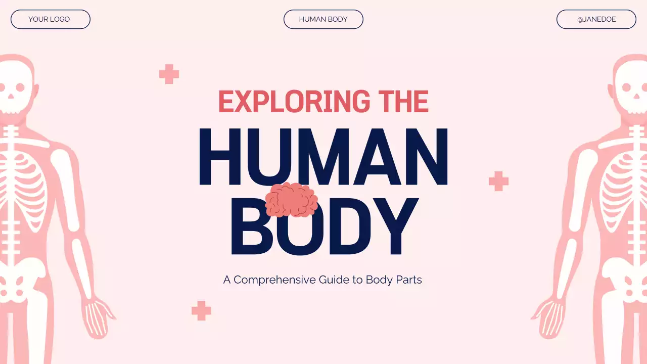 Pink Modern Anatomy Guide Presentation