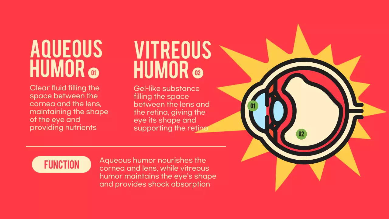 Black Orange Flashy Eyes Lecture Material