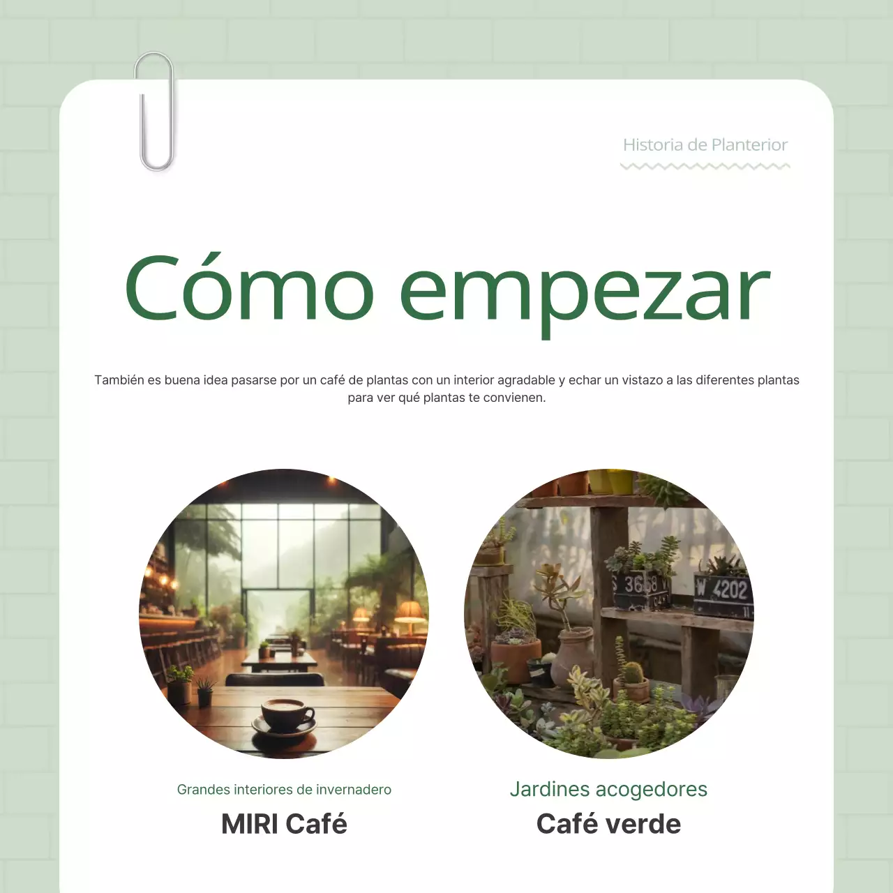 Promocione su terrier vegetal verde y blanco