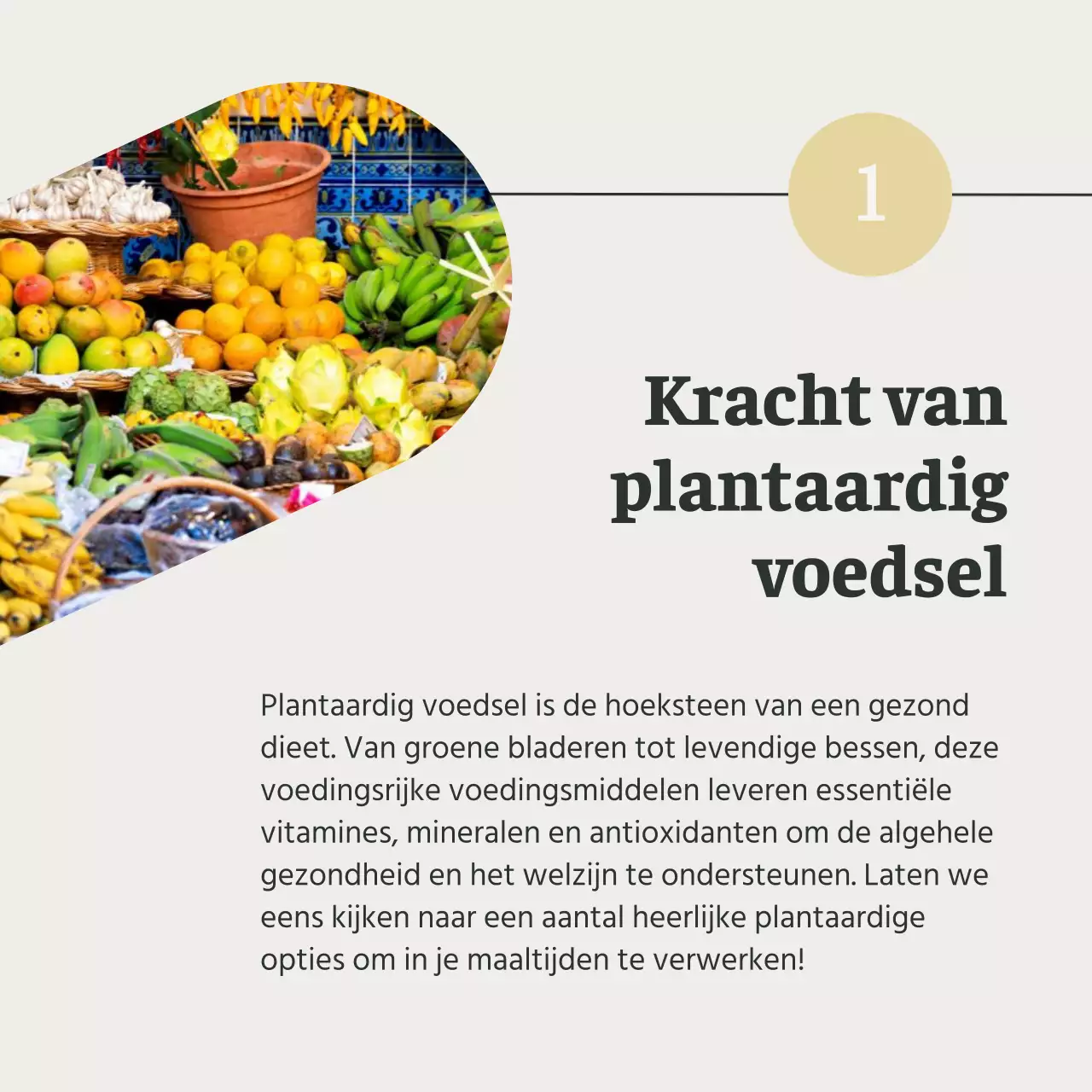 Grijs en Groen Natuurlijk Gezond eten en dieetgids