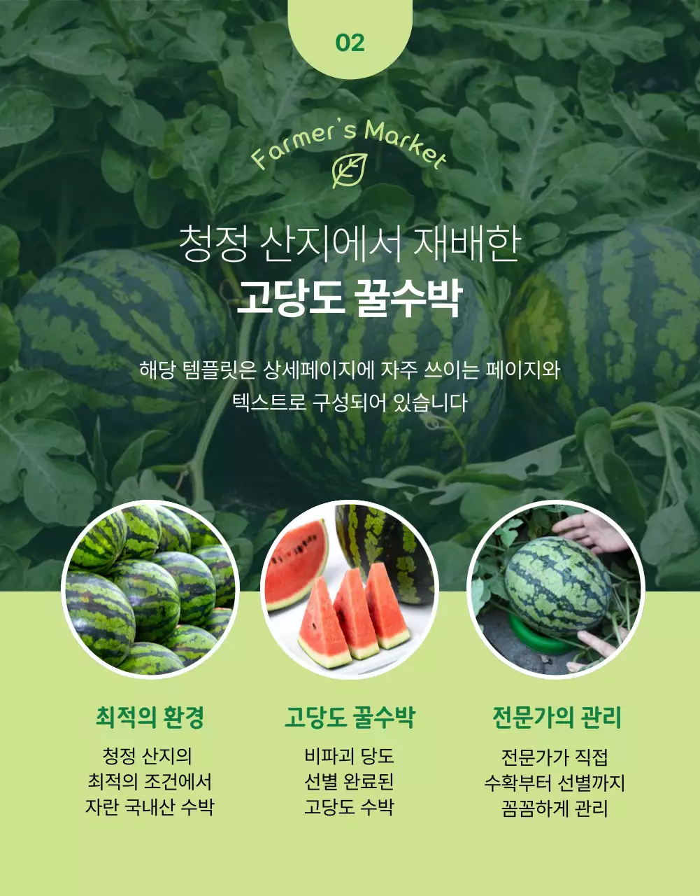 초록색과 연두색의 심플한 신선식품 과일 홍보