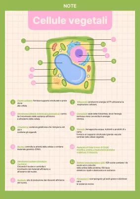Materiale di studio semplice di biologia verde