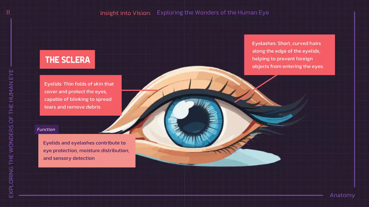 Presentasi Kuliah Anatomi Modern Ungu