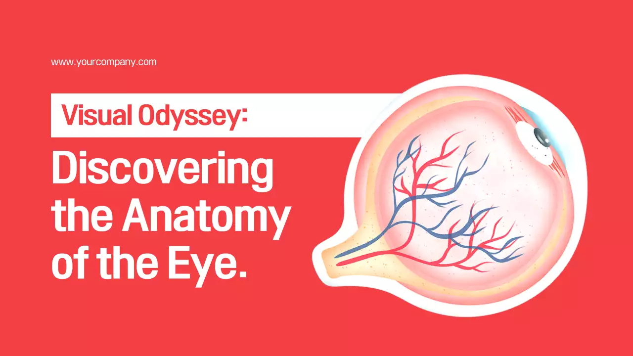 Red Modern Eye Anatomy Guide Presentation