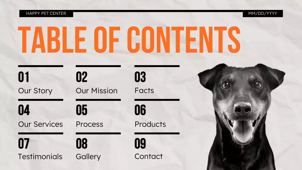 Orange Modern Pet Promotion Presentation