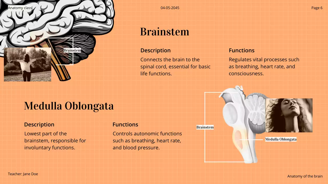 Orange Professional Brain Course Presentation