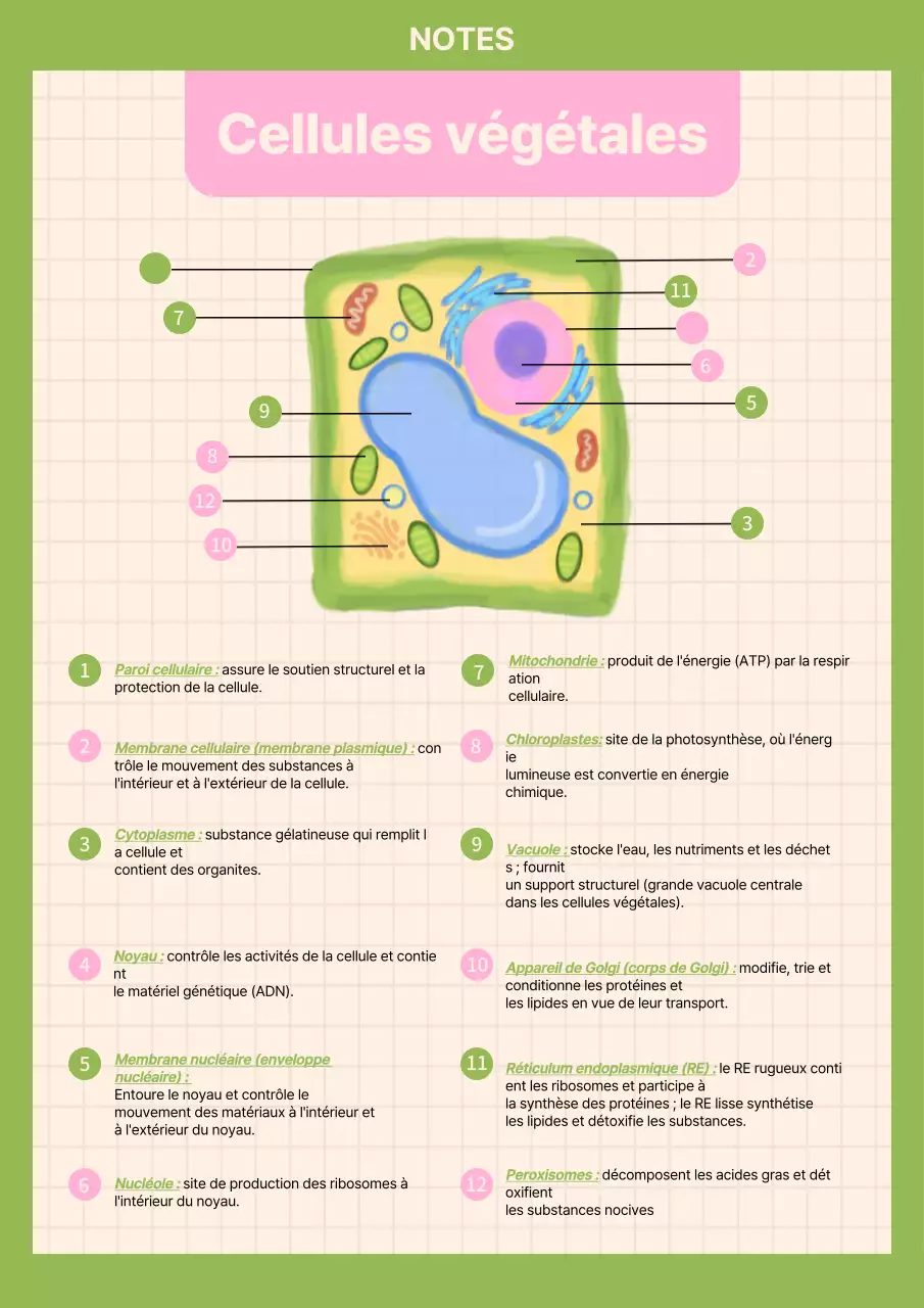 Matériel d'étude de biologie simple et vert