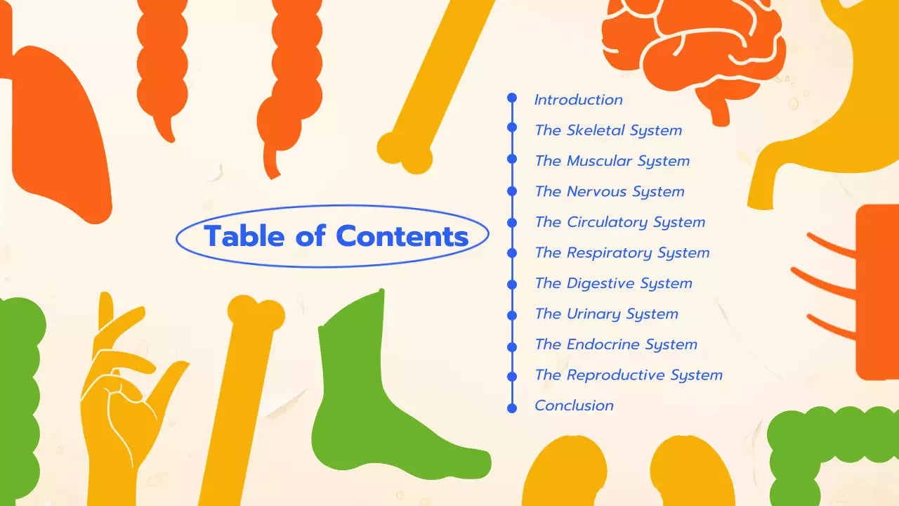 Orange Educational Anatomy Guide Presentation