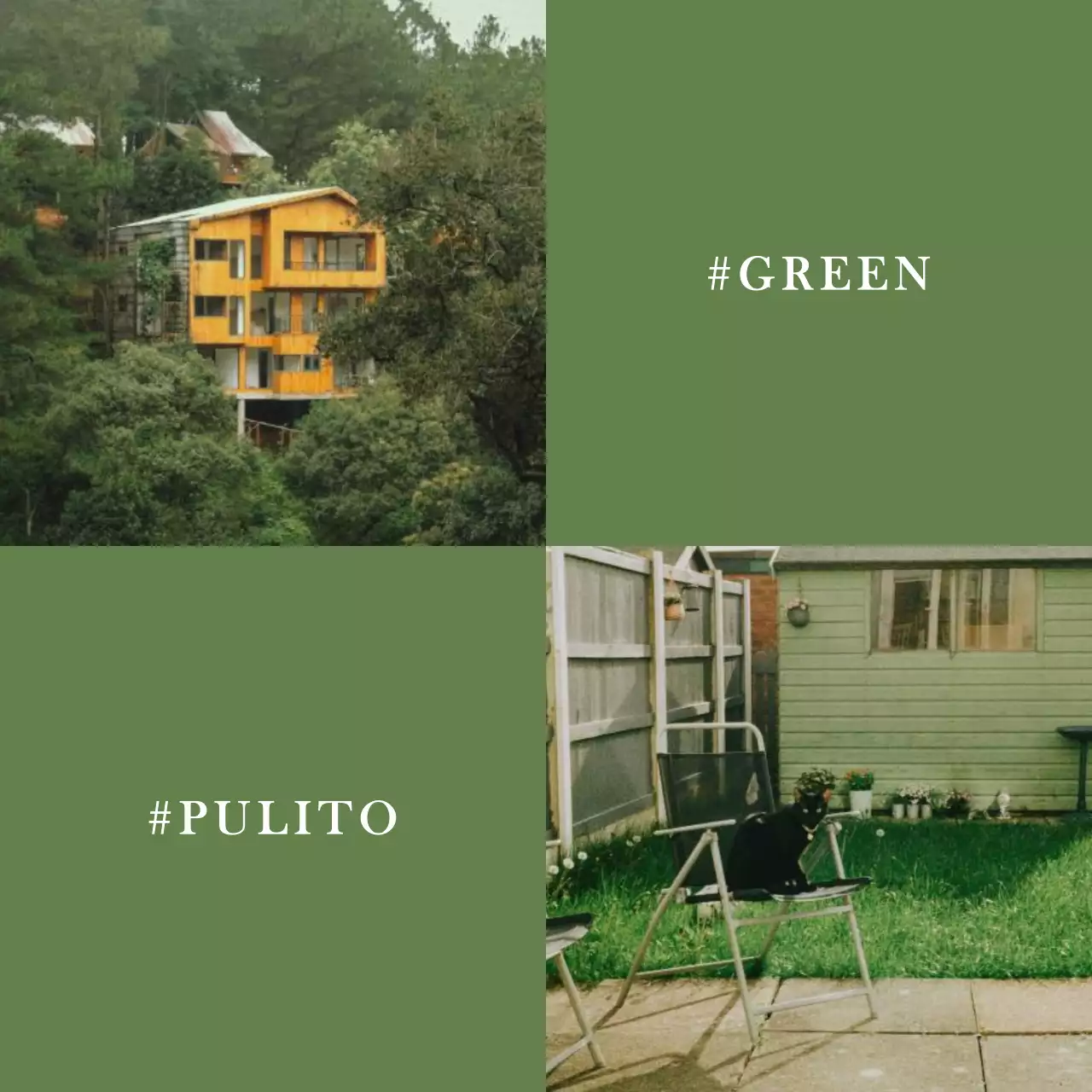 Semplice ritiro nella natura in un bosco di cachi e bianco.